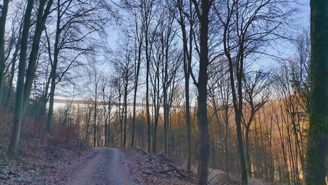 Letztes Mal dieses Jahr😍🥲 | Foto: Ralf Röser