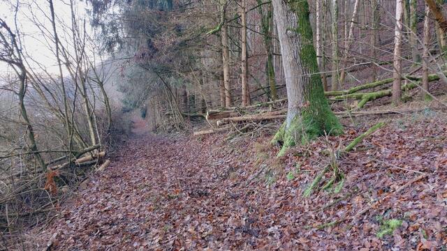 Letztes Mal dieses Jahr😍🥲 | Foto: Ralf Röser