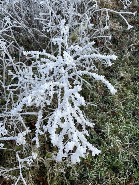 Foto: Urheberrechtlich geschützt