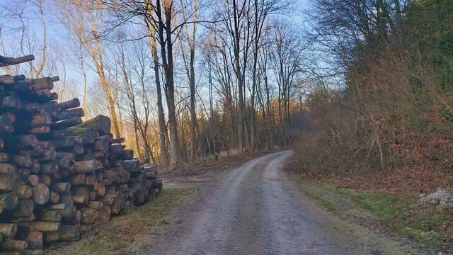 Letztes Mal dieses Jahr😍🥲 | Foto: Ralf Röser