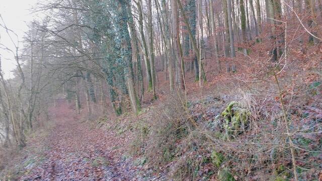 Letztes Mal dieses Jahr😍🥲 | Foto: Ralf Röser