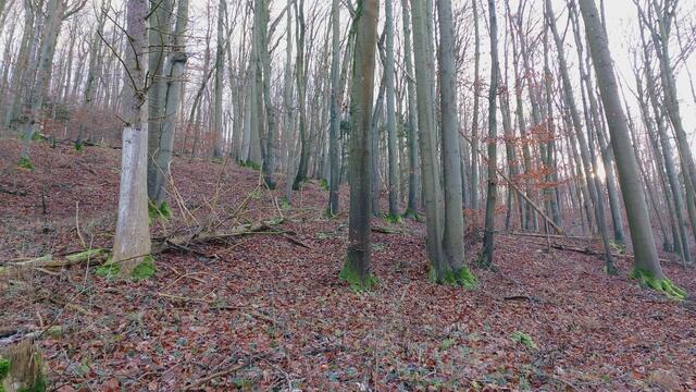 Letztes Mal dieses Jahr😍🥲 | Foto: Ralf Röser