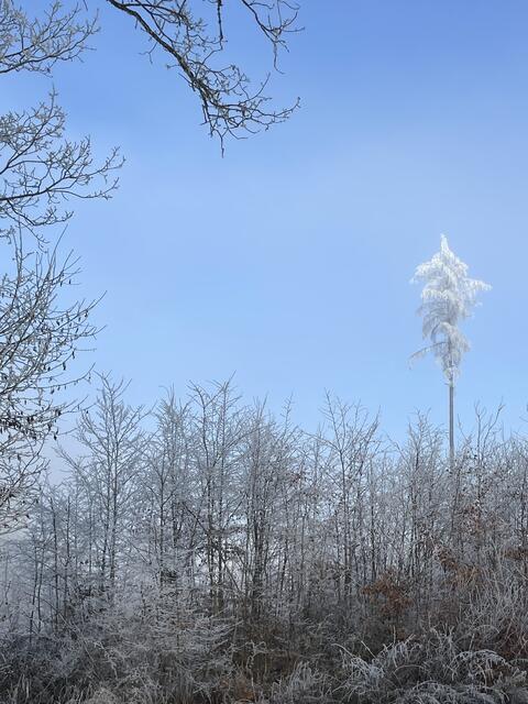 Foto: Urheberrechtlich geschützt