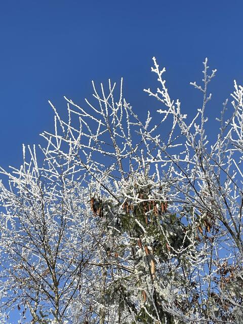 Foto: Urheberrechtlich geschützt