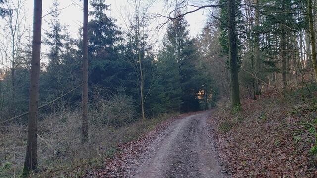 Letztes Mal dieses Jahr😍🥲 | Foto: Ralf Röser