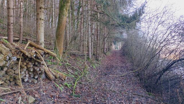 Letztes Mal dieses Jahr😍🥲 | Foto: Ralf Röser