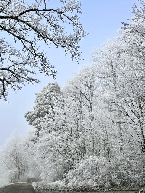 Foto: Urheberrechtlich geschützt