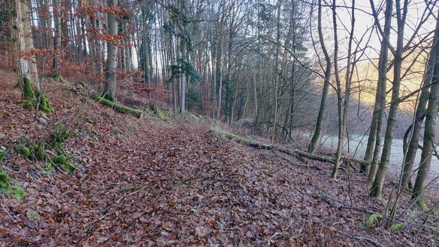 Letztes Mal dieses Jahr😍🥲 | Foto: Ralf Röser
