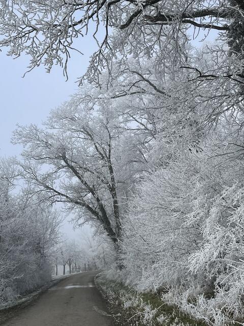 Foto: Urheberrechtlich geschützt