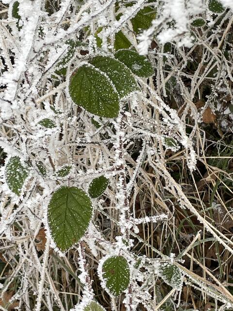 Foto: Urheberrechtlich geschützt