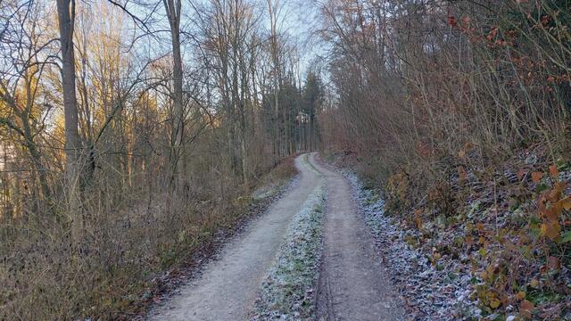 Letztes Mal dieses Jahr😍🥲 | Foto: Ralf Röser