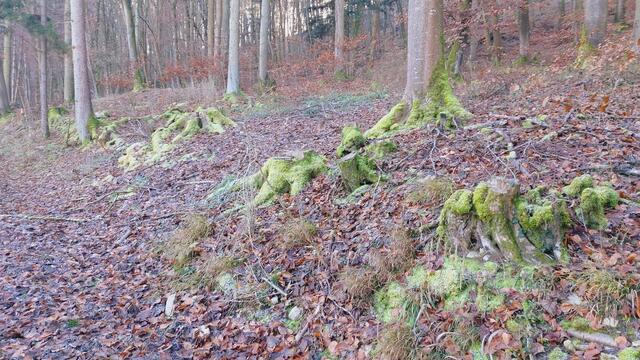Letztes Mal dieses Jahr😍🥲 | Foto: Ralf Röser