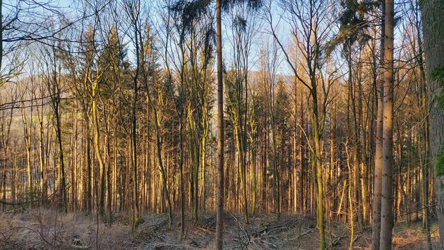 Letztes Mal dieses Jahr😍🥲 | Foto: Ralf Röser