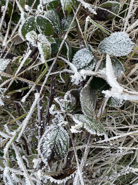 Foto: Urheberrechtlich geschützt