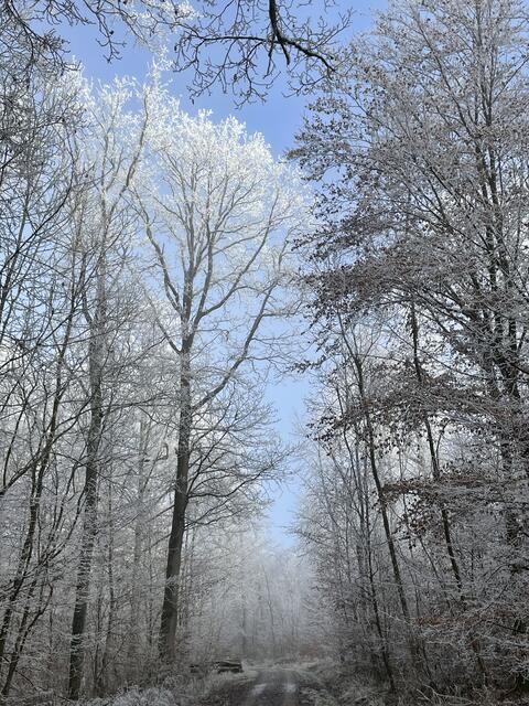 Foto: Urheberrechtlich geschützt