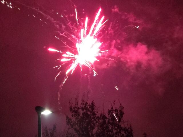 Foto: Heidrun Rosenberger