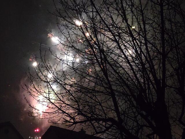 Foto: Heidrun Rosenberger