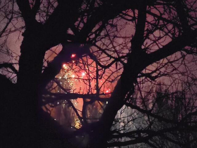 Foto: Heidrun Rosenberger