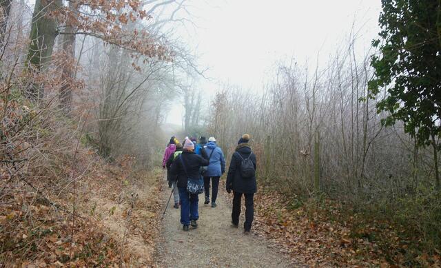 Auf dem Wolfsbergweg oberhalb Freudentals. | Foto: Isolde Reitz