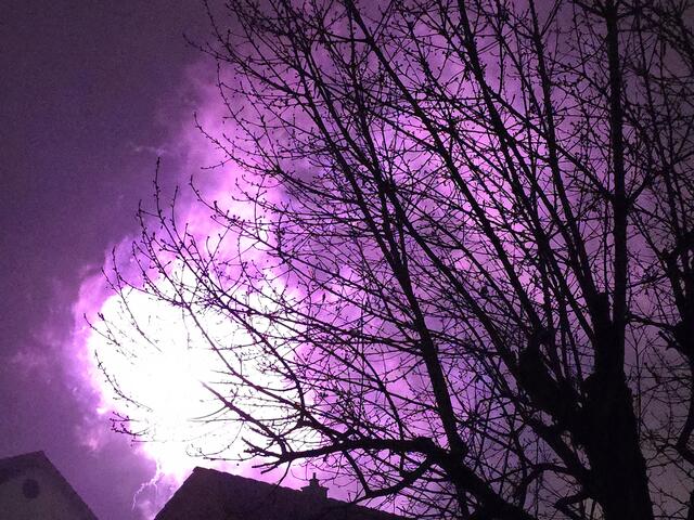 Foto: Heidrun Rosenberger