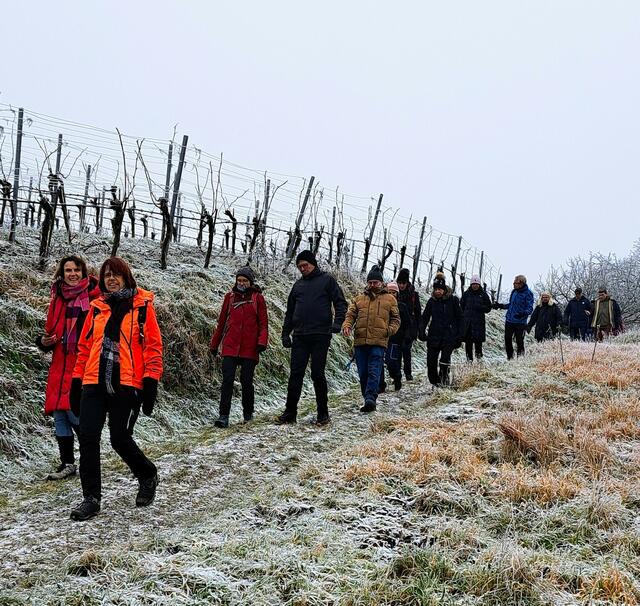 Abstieg von der Vogelsanghütte auf vereisten Graswegen. | Foto: Isolde Reitz