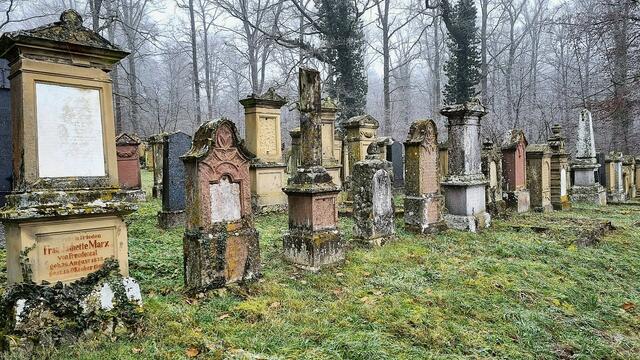 Der Jüdische Friedhof Freudental - ein geschichtliches Zeitzeugnis von 1811. | Foto: Isolde Reitz