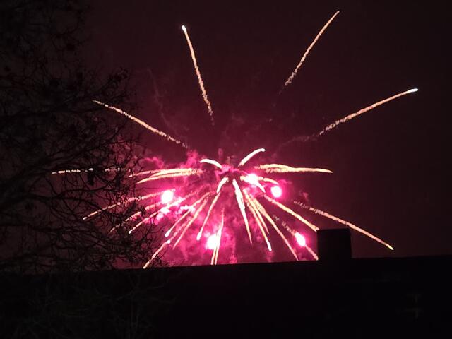 Foto: Heidrun Rosenberger