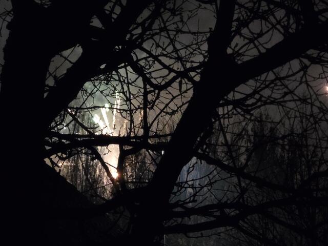 Foto: Heidrun Rosenberger