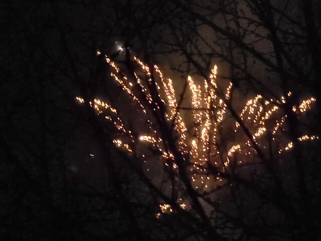 Foto: Heidrun Rosenberger