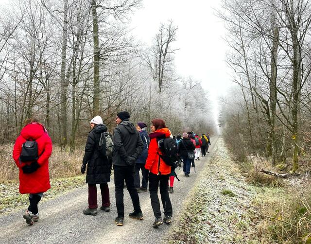 Auf dem Altertumweg Richtung Freudental. | Foto: Isolde Reitz