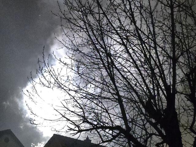 Foto: Heidrun Rosenberger