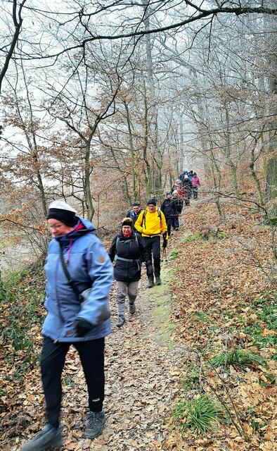 Tiefgefrorene Waldwege erleichterten das Wandern. | Foto: Isolde Reitz