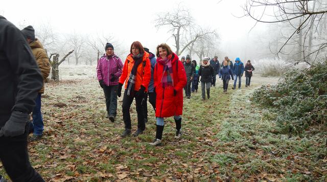 Entlang der Erligheimer Kirschgärten. | Foto: Isolde Reitz