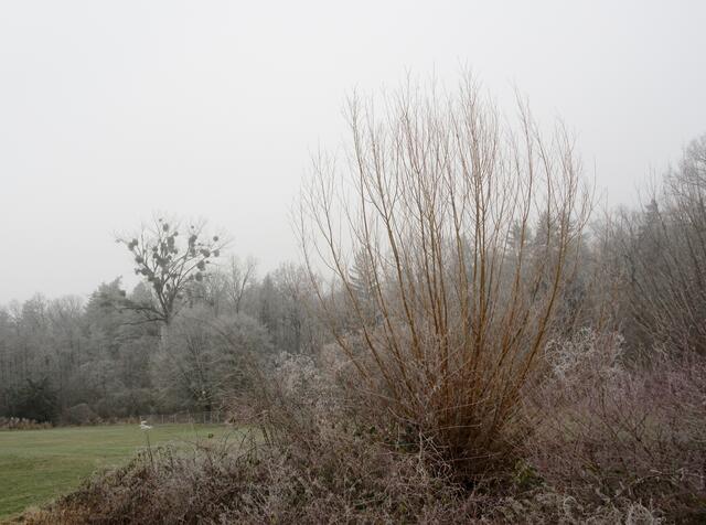 Zauberhafte Ansichten | Foto: WandernGabyErich