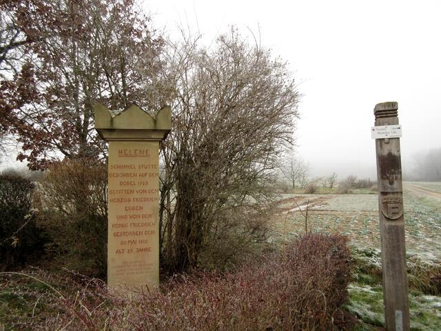 Das treue Tier | Foto: WandernGabyErich