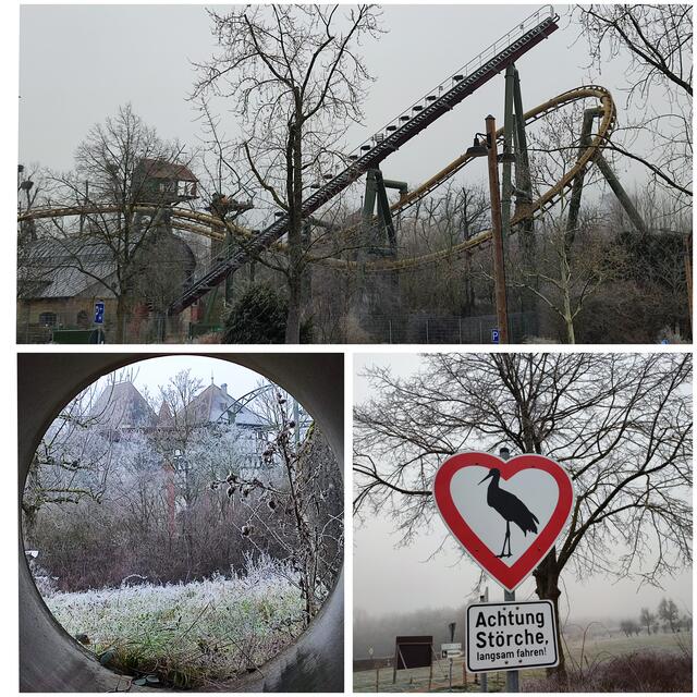 Die Störche bleiben, weil es in Tripsdrill so schön ist | Foto: Aurelia Kling