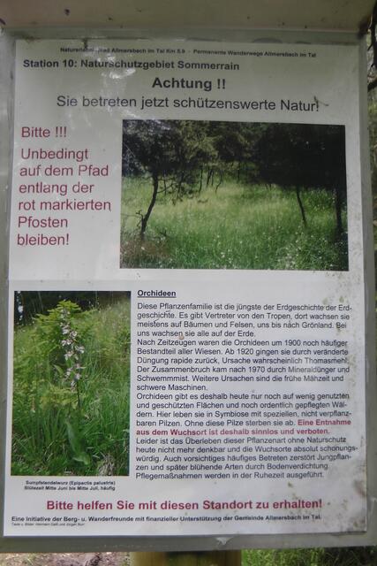 Immer wieder wird der Besucher auf Tafeln auf Vorkommen von Orchideen und seltenen Blumen hingewiesen. | Foto: Martin Feucht