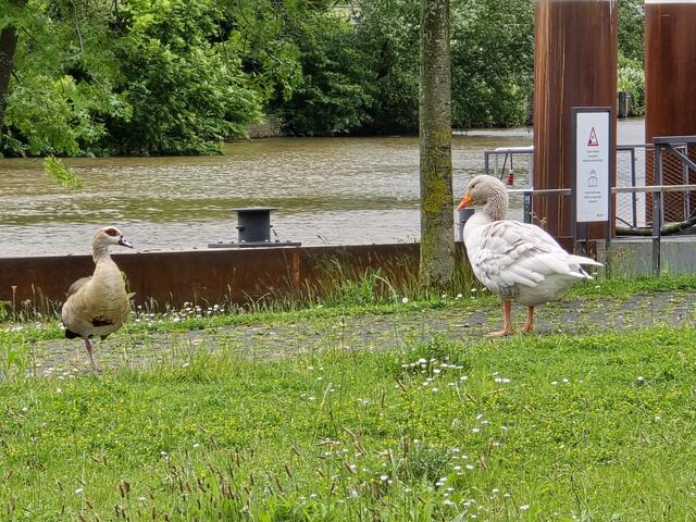 Foto: Heidrun Rosenberger