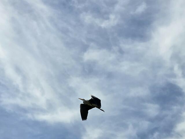 Foto: Heidrun Rosenberger