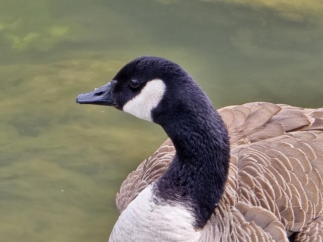 Foto: Heidrun Rosenberger