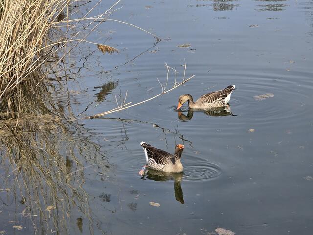 Foto: Heidrun Rosenberger