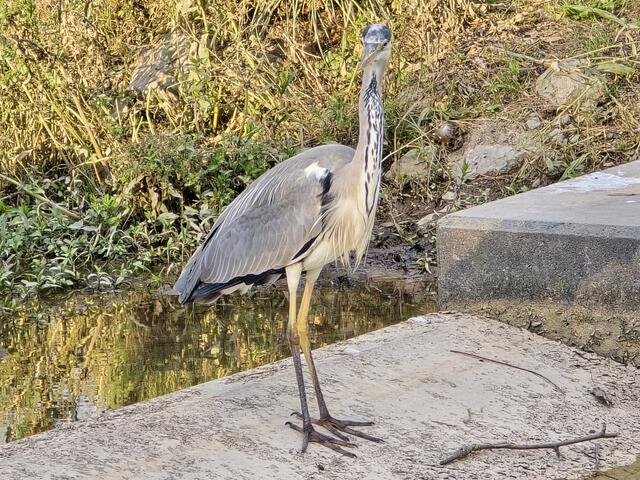 Foto: Heidrun Rosenberger