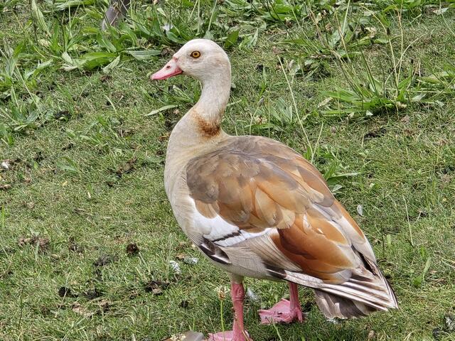 Foto: Heidrun Rosenberger