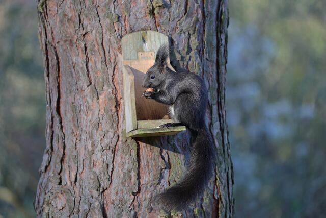 Auch lecker | Foto: Uschi Dugulin