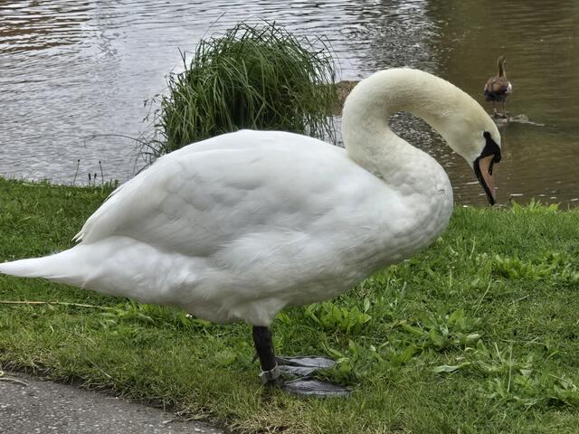 Foto: Heidrun Rosenberger