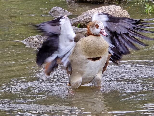Foto: Heidrun Rosenberger