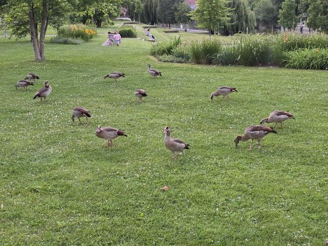 Foto: Heidrun Rosenberger