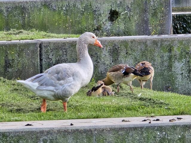 Foto: Heidrun Rosenberger