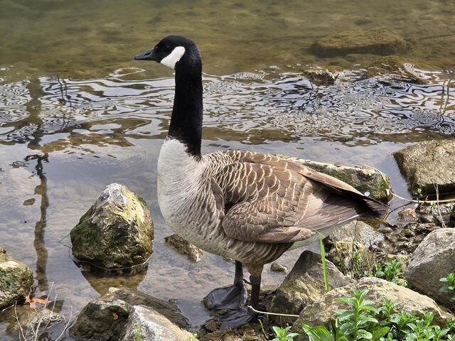 Foto: Heidrun Rosenberger