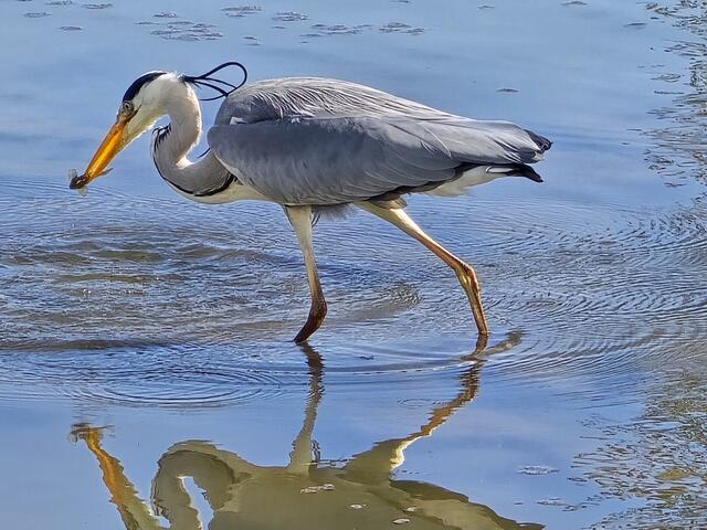 Foto: Heidrun Rosenberger
